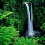 1 7oegstiKiSrBasWlBLQyzA